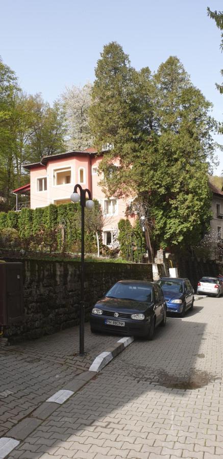 Отель Casa Rosa Бэи­ле-Олэ­неш­ти Экстерьер фото