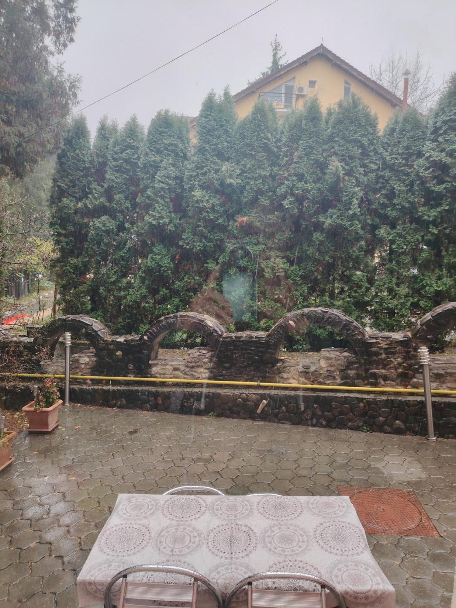 Отель Casa Rosa Бэи­ле-Олэ­неш­ти Экстерьер фото